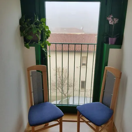 Oasi